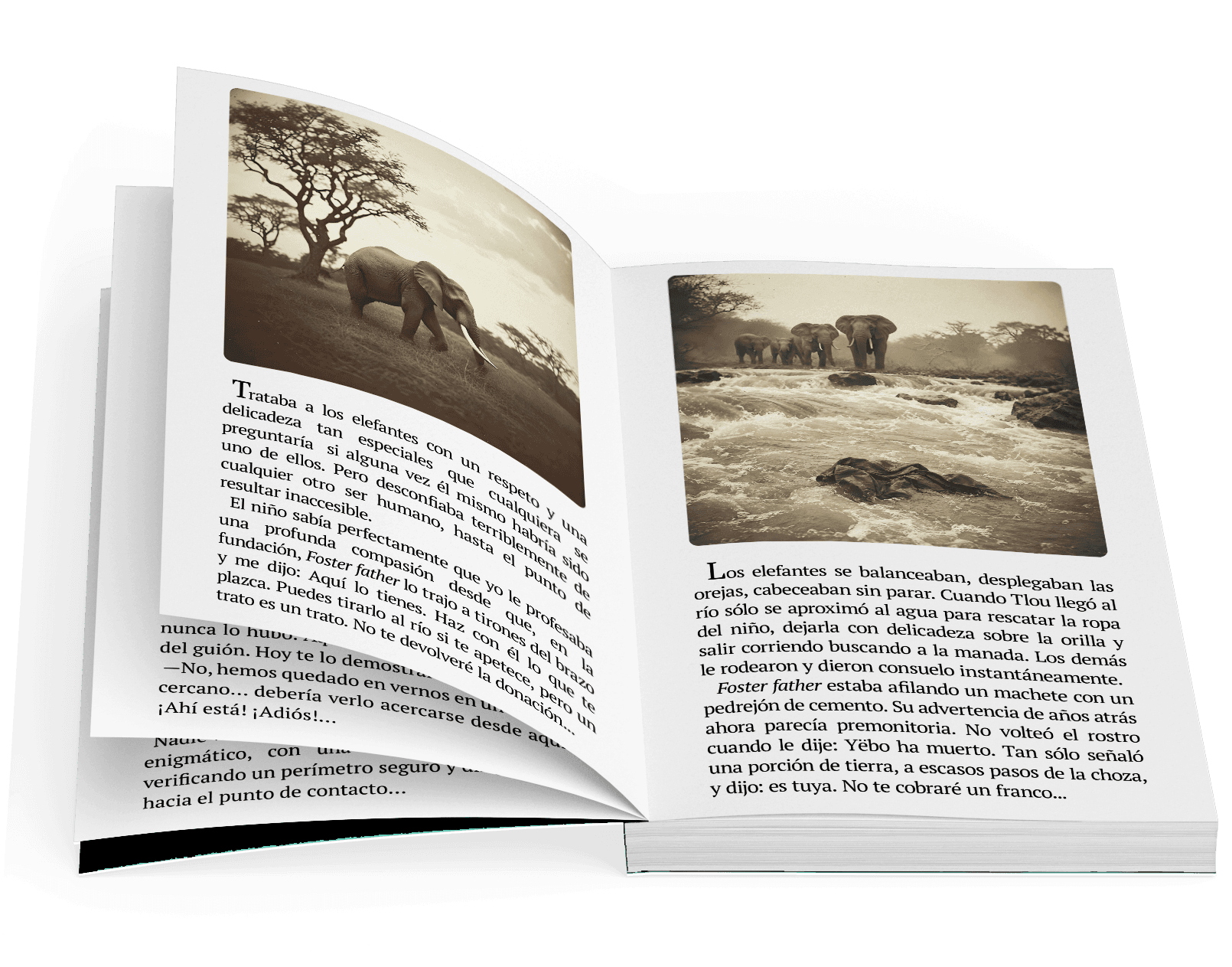 Mockup de Tlou, un elefante cartografiado